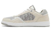 Dior B27 Low 'Dior Oblique Galaxy - Grey Beige'