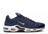 Nike Air Max Plus French Football Federation